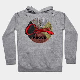 Chippewa Proud Medicine Wheel Hoodie